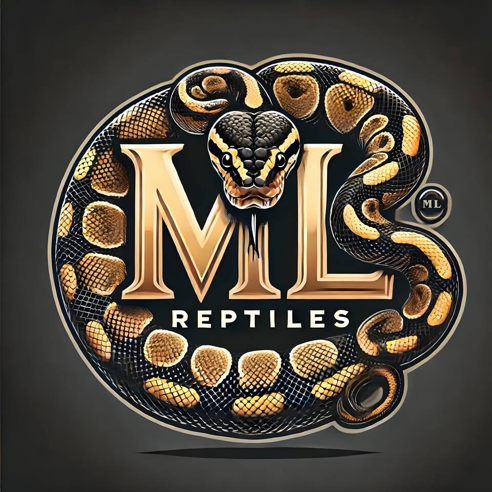 ML Reptiles